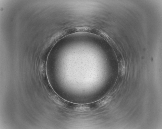 X0000059250619200510281957