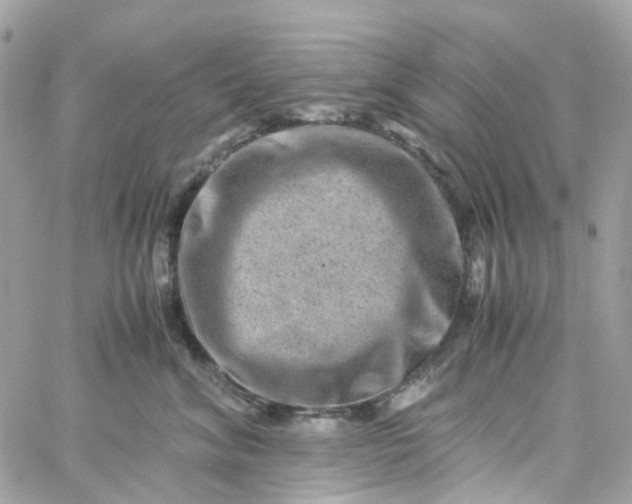 X0000059250620200510281957