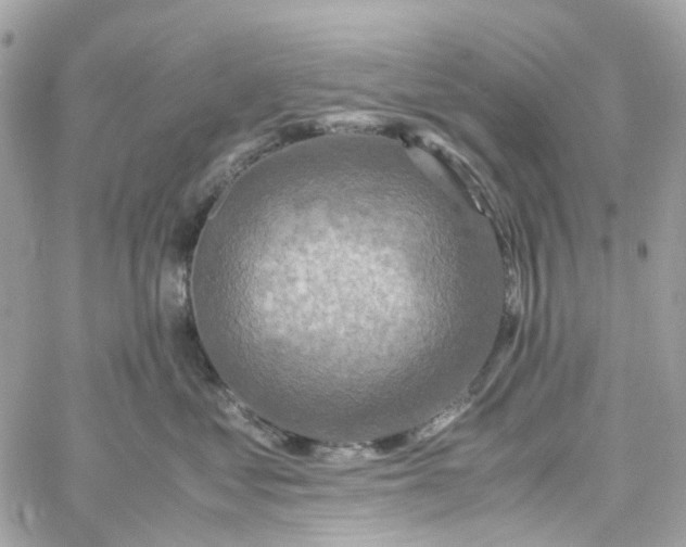 X0000059250621200510281957