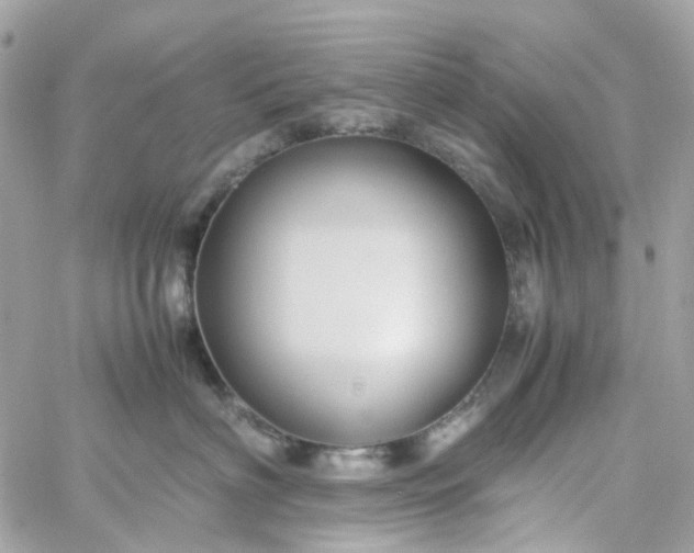 X0000059250622200510281957