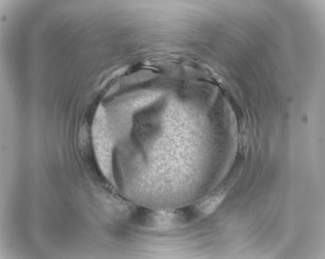 X0000059250623200510281957