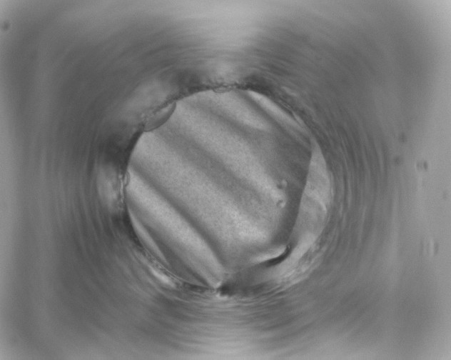 X0000059250624200510281957