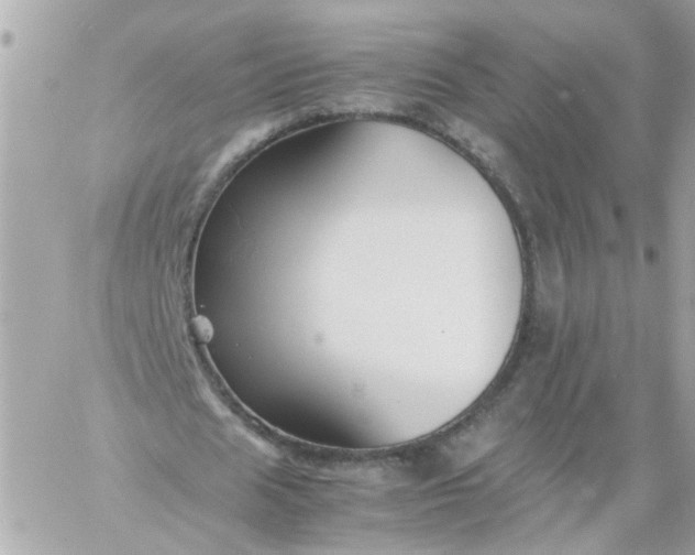 X0000059250625200510281957