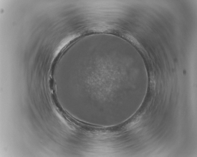 X0000059250626200510281957