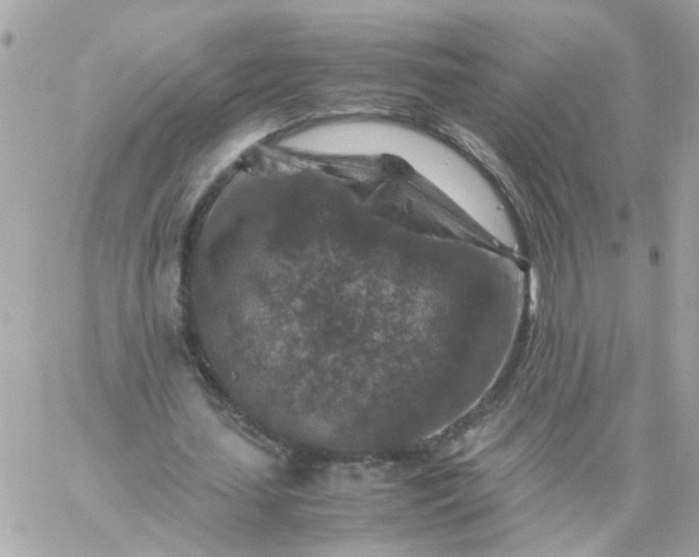 X0000059250627200510281957