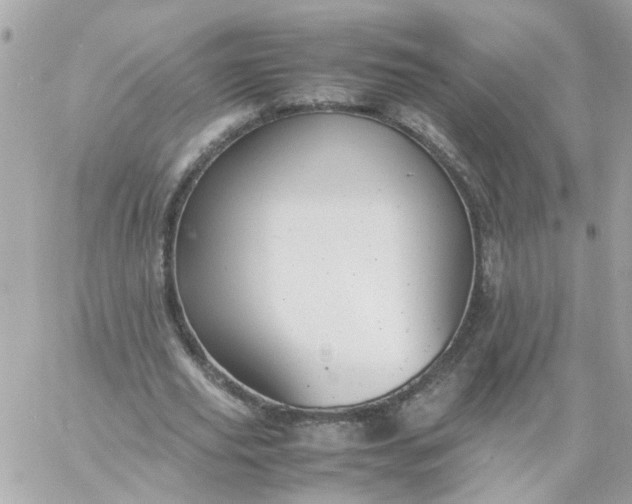 X0000059250629200510281957