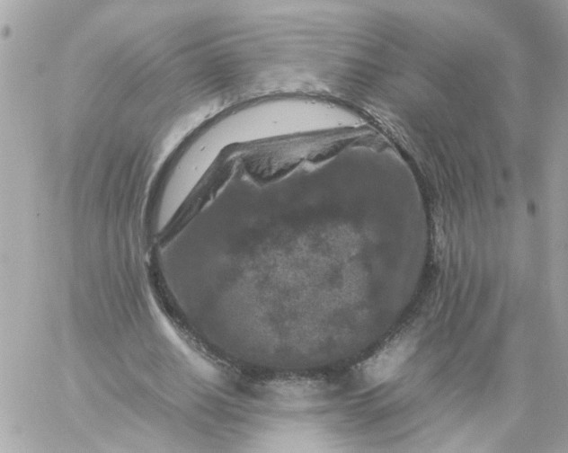 X0000059250630200510281957