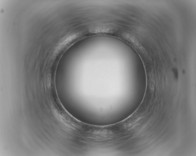 X0000059250631200510281957