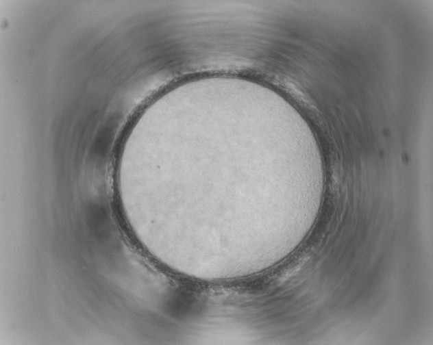 X0000059250632200510281957