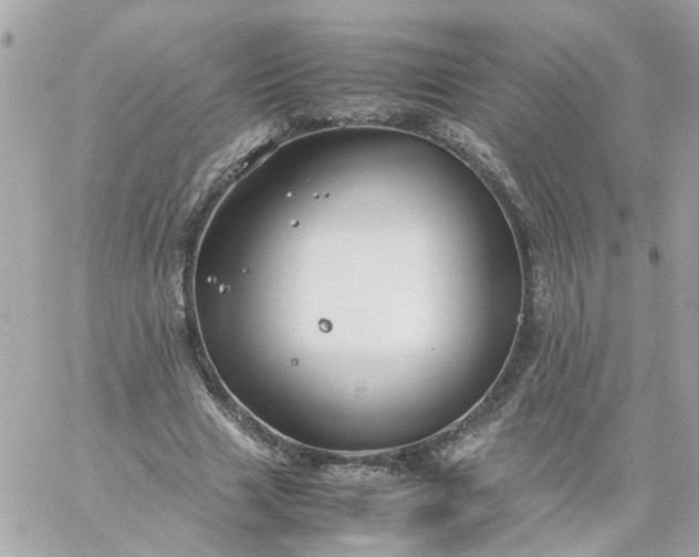 X0000059250633200510281957