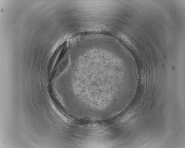 X0000059250634200510281957