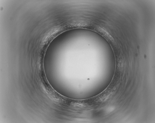 X0000059250635200510281957