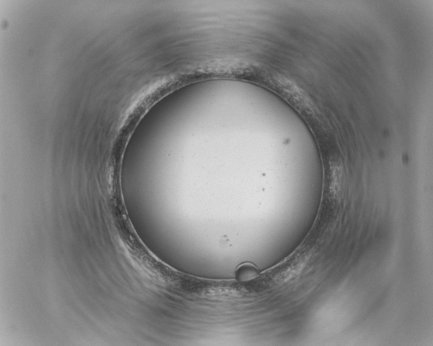 X0000059250636200510281957