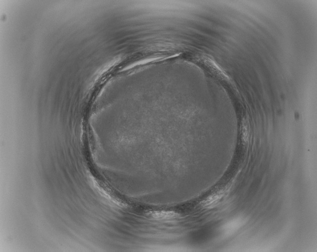 X0000059250637200510281957