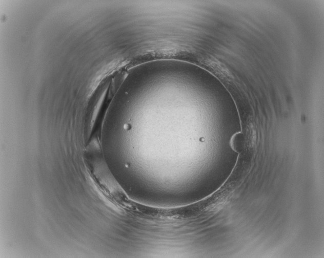 X0000059250638200510281957