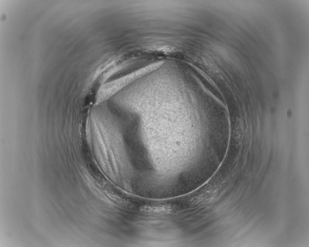 X0000059250639200510281957