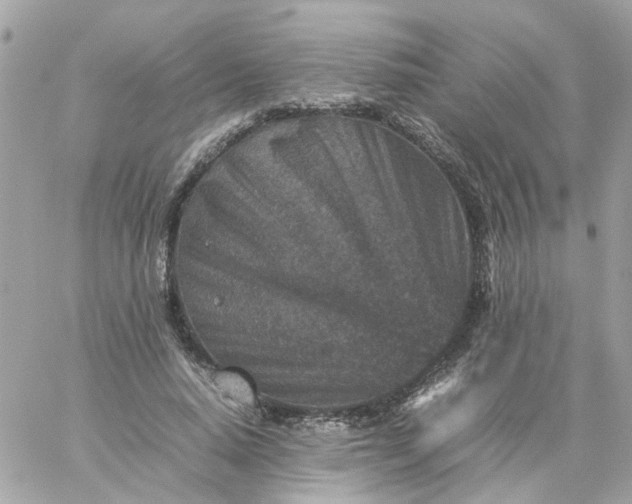 X0000059250640200510281957