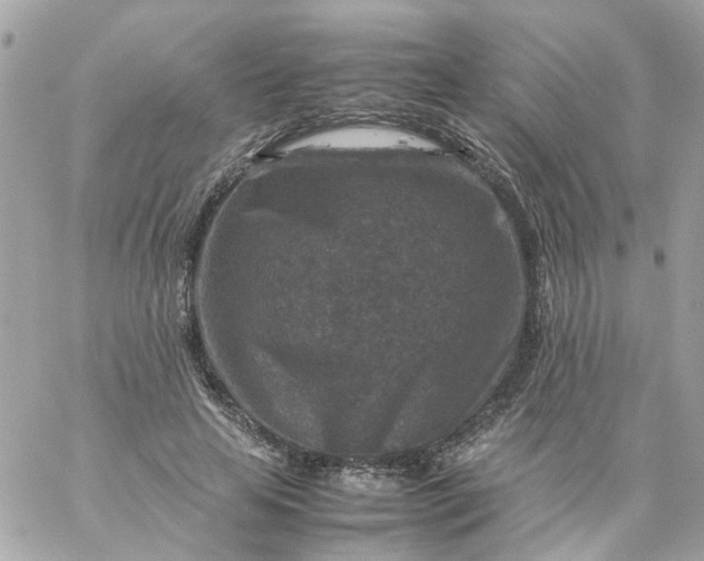 X0000059250641200510281957