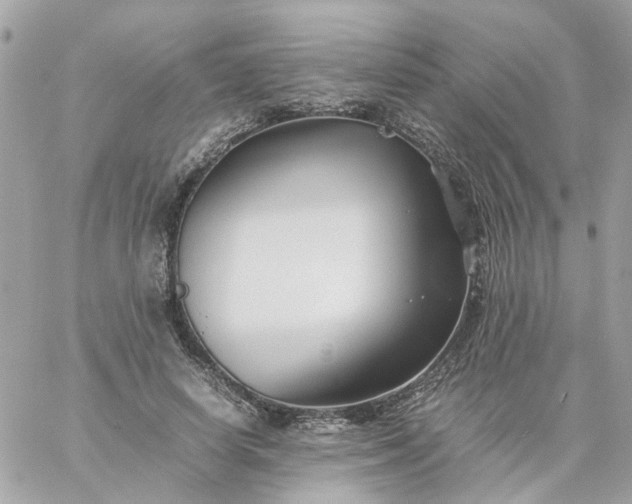 X0000059250642200510281957