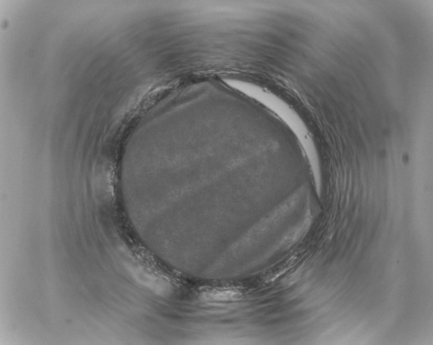 X0000059250643200510281957