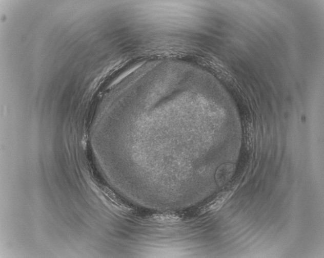 X0000059250644200510281957