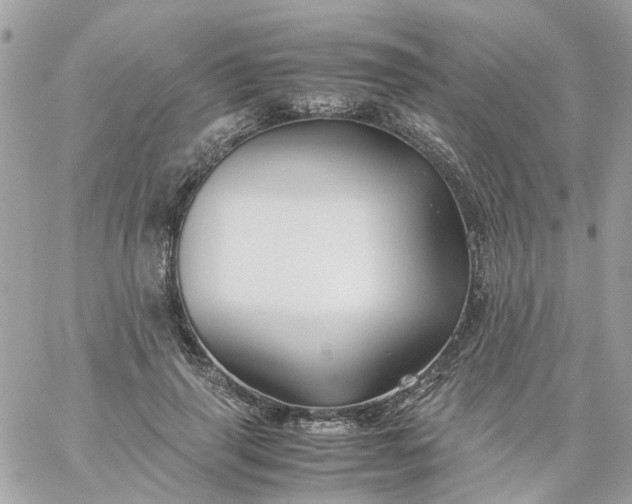 X0000059250645200510281957