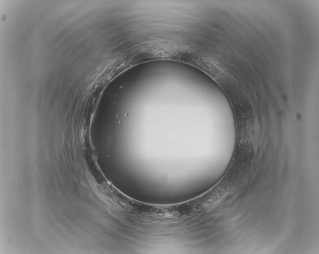 X0000059250646200510281957