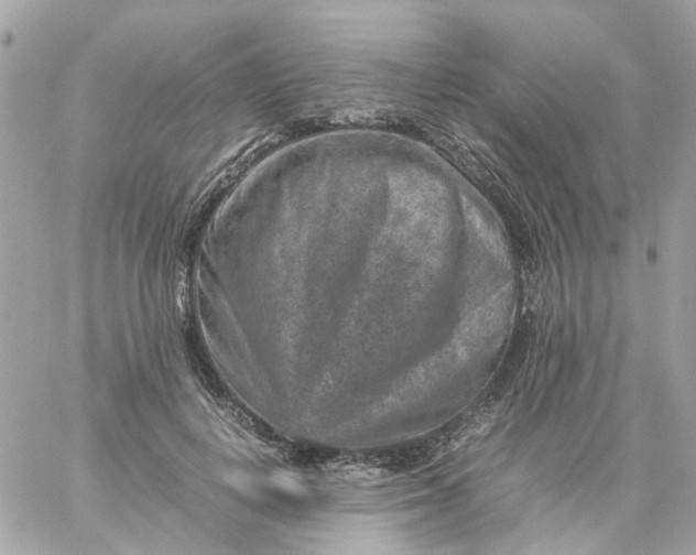 X0000059250648200510281957