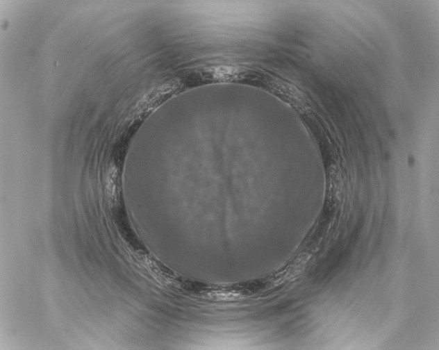 X0000059250650200510281957