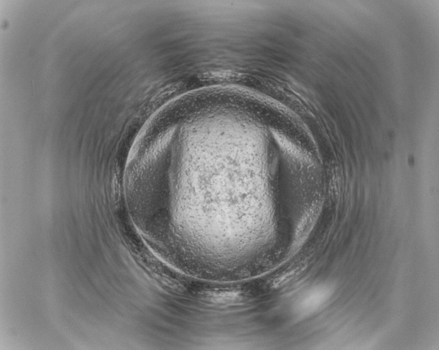 X0000059250651200510281957