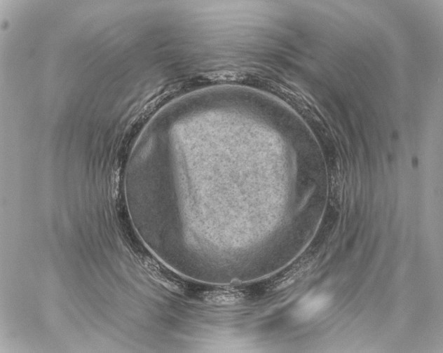 X0000059250652200510281957