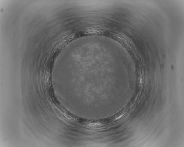 X0000059250653200510281957