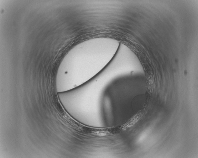 X0000059250654200510281957