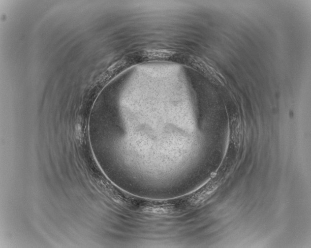 X0000059250655200510281957