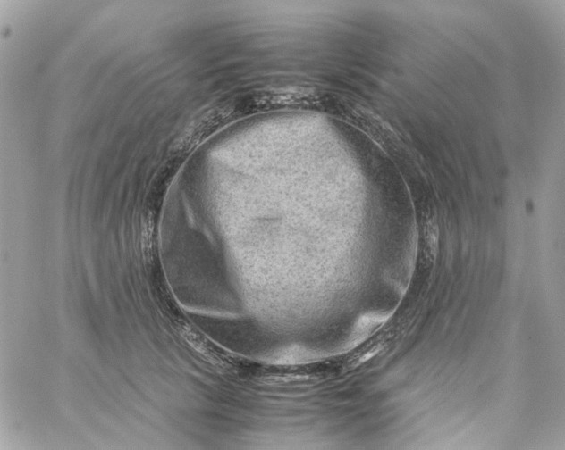 X0000059250657200510281957