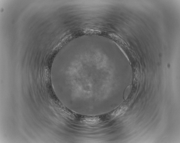 X0000059250659200510281957