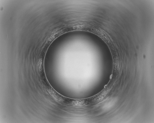 X0000059250660200510281957