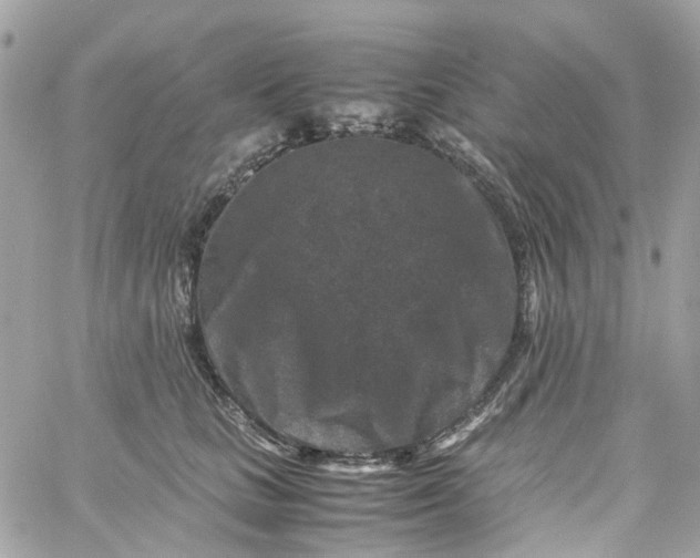 X0000059250661200510281957