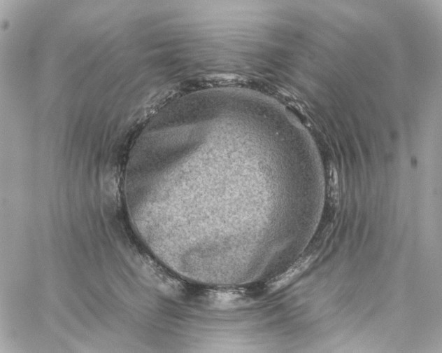 X0000059250662200510281957