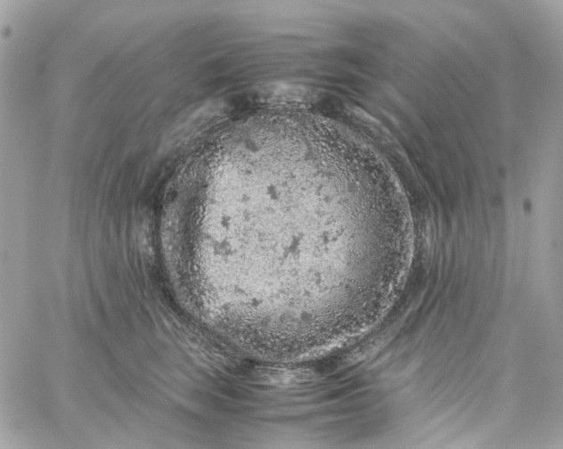 X0000059250663200510281957