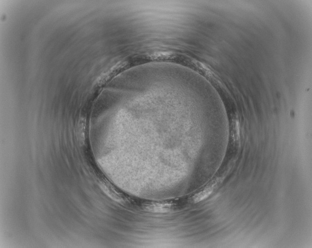 X0000059250664200510281957