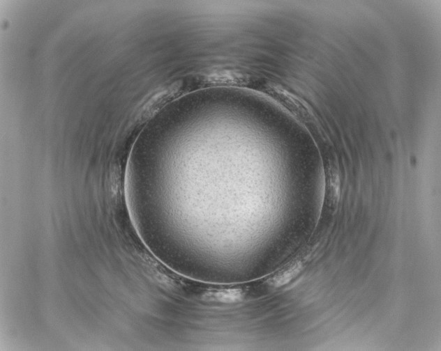 X0000059250665200510281957