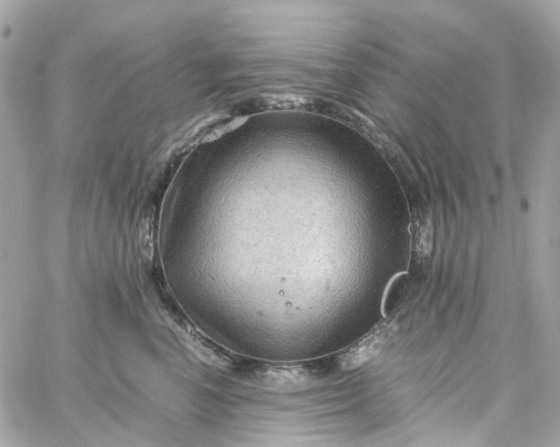 X0000059250666200510281957