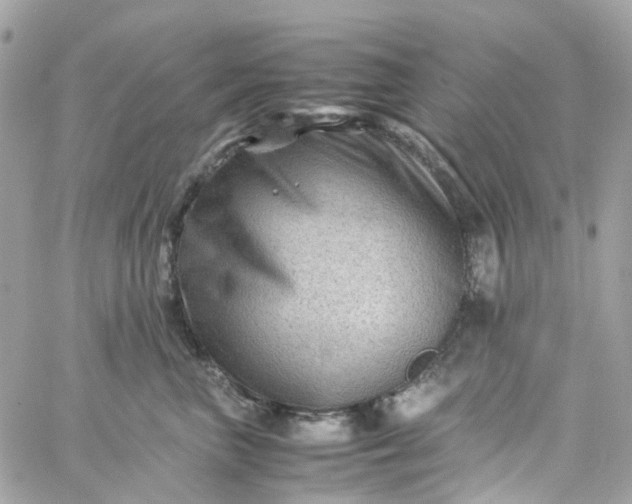 X0000059250667200510281957