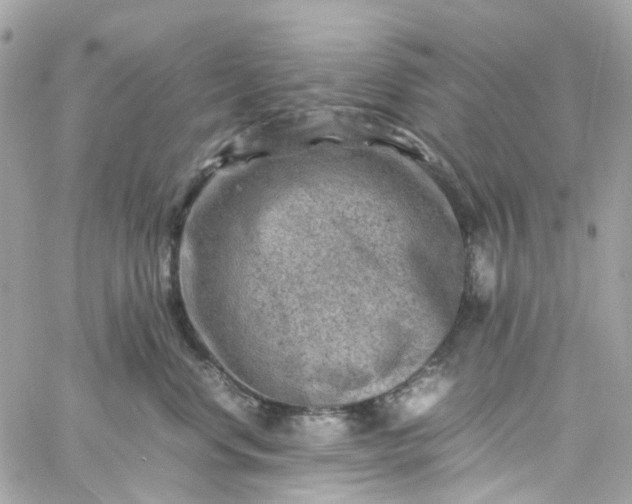 X0000059250668200510281957