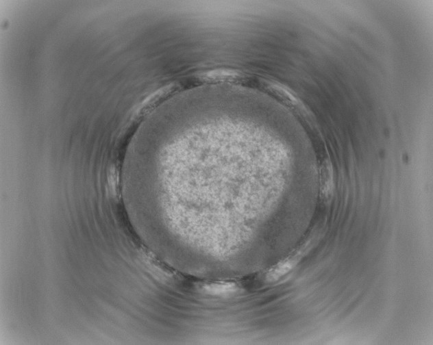 X0000059250669200510281957