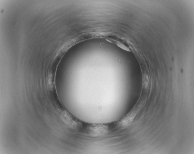 X0000059250670200510281957