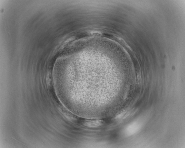 X0000059250671200510281957