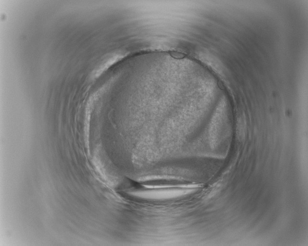 X0000059250673200510281957