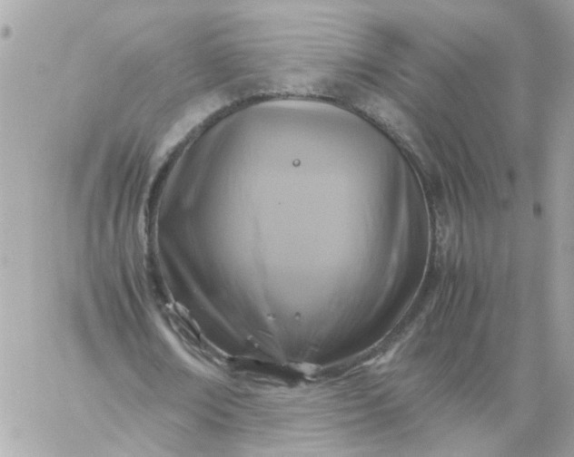 X0000059250674200510281957